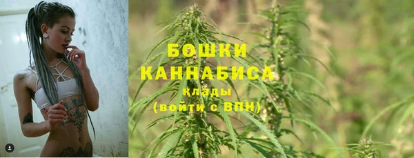 сатива Семёнов