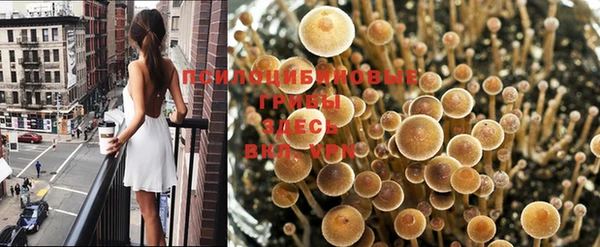 твердый Балахна